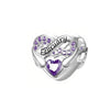 S925 Silver February Birthstone Charms Bead For Bracelet and Necklace