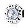 MsRosy Family Forever, Clear CZ Charms Bead - msrosy
