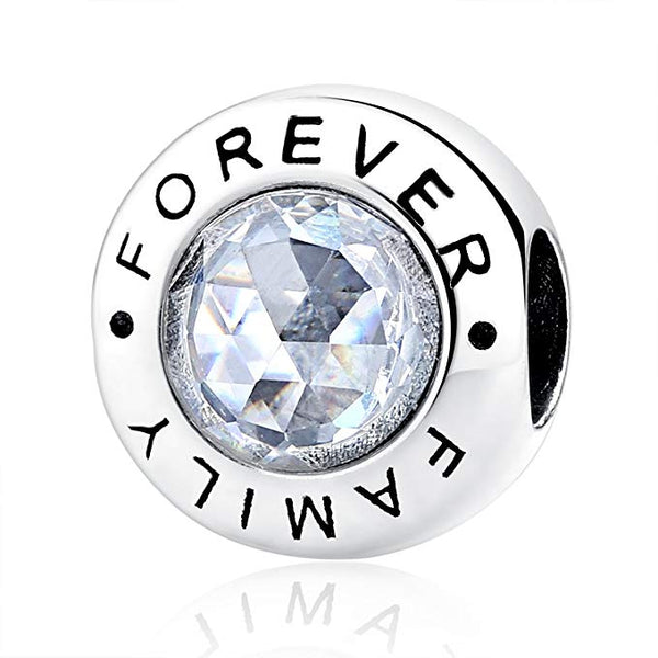 MsRosy Family Forever, Clear CZ Charms Bead - msrosy